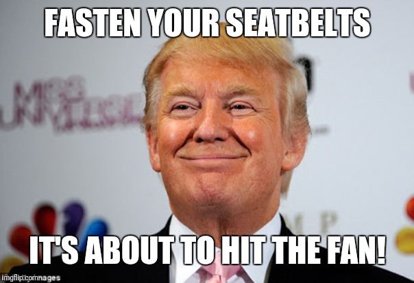 Donald trump approves | FASTEN YOUR SEATBELTS; IT'S ABOUT TO HIT THE FAN! | image tagged in donald trump approves | made w/ Imgflip meme maker