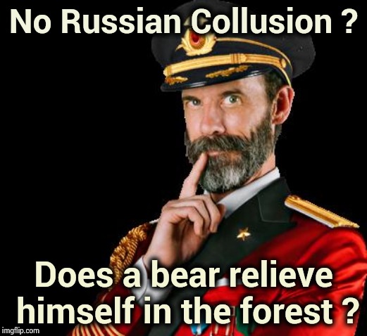 captain obvious | No Russian Collusion ? Does a bear relieve himself in the forest ? | image tagged in captain obvious | made w/ Imgflip meme maker