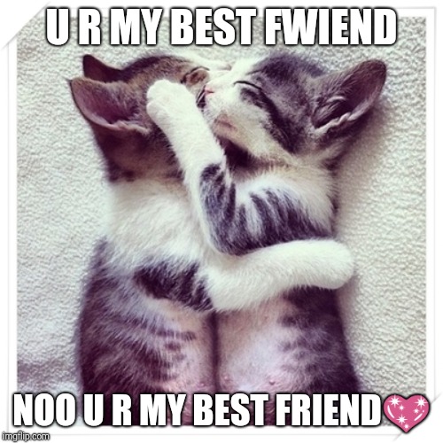 Baby cats | U R MY BEST FWIEND; NOO U R MY BEST FRIEND💖 | image tagged in baby cats | made w/ Imgflip meme maker