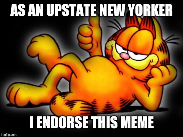 garfield thumbs up | AS AN UPSTATE NEW YORKER I ENDORSE THIS MEME | image tagged in garfield thumbs up | made w/ Imgflip meme maker