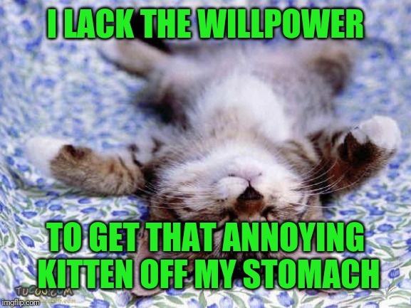 UpsideDwon Sleeping Cat | I LACK THE WILLPOWER TO GET THAT ANNOYING KITTEN OFF MY STOMACH | image tagged in upsidedwon sleeping cat | made w/ Imgflip meme maker