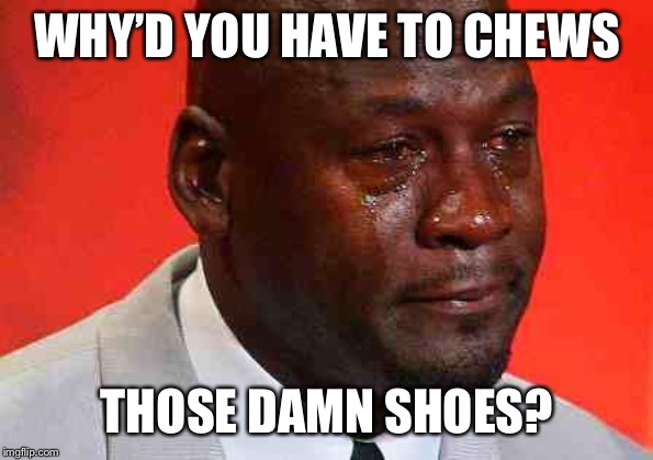 crying michael jordan | WHY’D YOU HAVE TO CHEWS THOSE DAMN SHOES? | image tagged in crying michael jordan | made w/ Imgflip meme maker