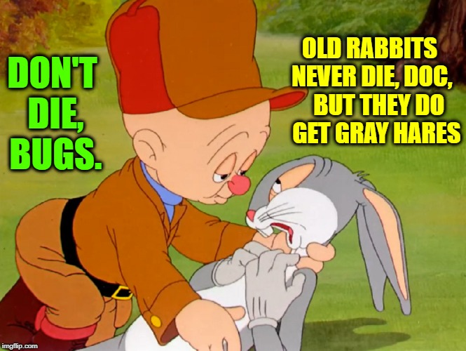 A Tender Moment Between Bugs & Elmer Fudd | OLD RABBITS NEVER DIE, DOC,    BUT THEY DO   GET GRAY HARES; DON'T DIE, BUGS. | image tagged in vince vance,elmer fudd,bugs bunny,mel blanc,elmer fudd goes hunting,elmer fudd thinks he shot bugs | made w/ Imgflip meme maker