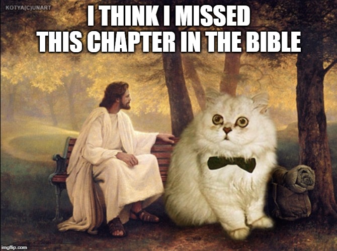 Jesus cat | I THINK I MISSED THIS CHAPTER IN THE BIBLE | image tagged in jesus cat | made w/ Imgflip meme maker