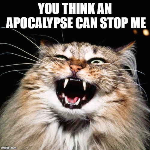 mad cat | YOU THINK AN APOCALYPSE CAN STOP ME | image tagged in mad cat | made w/ Imgflip meme maker