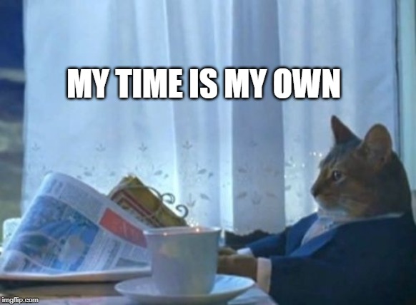I Should Buy A Boat Cat Meme | MY TIME IS MY OWN | image tagged in memes,i should buy a boat cat | made w/ Imgflip meme maker