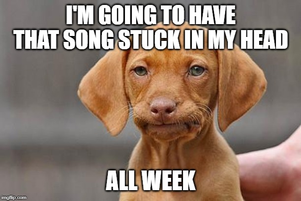 Dissapointed puppy | I'M GOING TO HAVE THAT SONG STUCK IN MY HEAD ALL WEEK | image tagged in dissapointed puppy | made w/ Imgflip meme maker