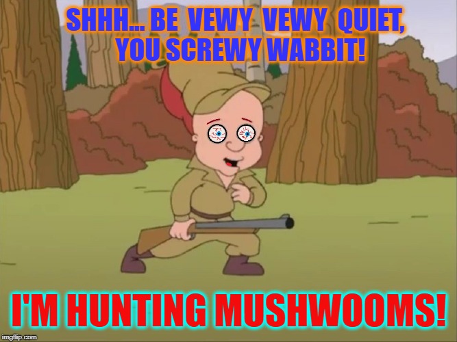 Elmer Fudd Gets Vewy Vewy Stoned | SHHH... BE  VEWY  VEWY  QUIET,         YOU SCREWY WABBIT! I'M HUNTING MUSHWOOMS! | image tagged in vince vance,elmer fudd,elmer fudd goes hunting,magic mushrooms,bugs bunny | made w/ Imgflip meme maker