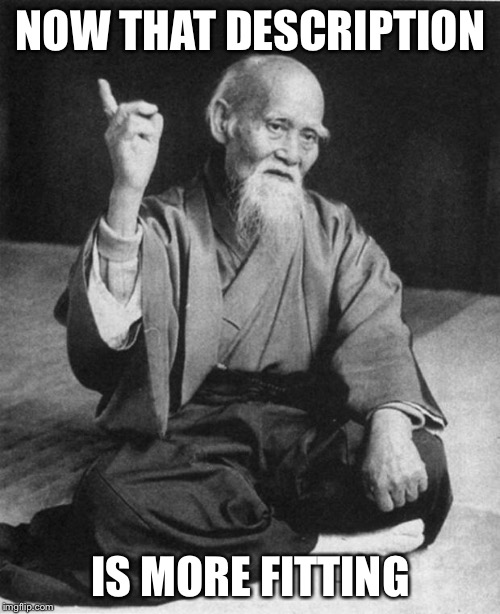 sensei | NOW THAT DESCRIPTION IS MORE FITTING | image tagged in sensei | made w/ Imgflip meme maker