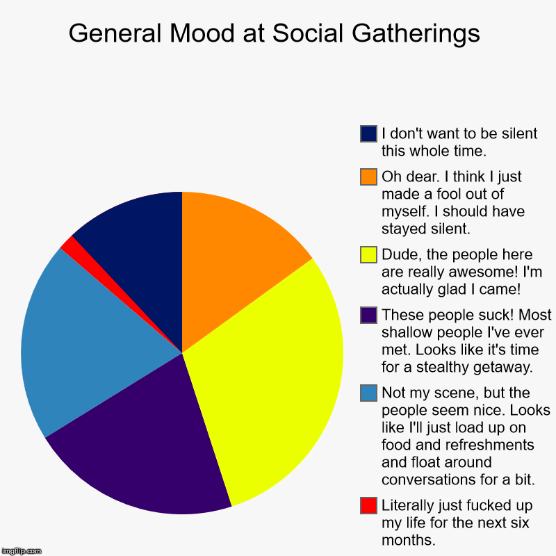 A Pie Chart About How I Actually Feel At Social Gatherings | General Mood at Social Gatherings | Literally just f**ked up my life for the next six months., Not my scene, but the people seem nice. Looks | image tagged in charts,pie charts,social anxiety cat,parties,mood,data | made w/ Imgflip chart maker