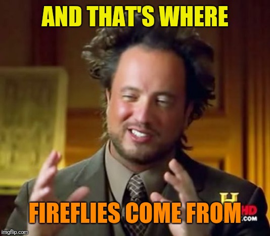 Ancient Aliens Meme | AND THAT'S WHERE FIREFLIES COME FROM | image tagged in memes,ancient aliens | made w/ Imgflip meme maker