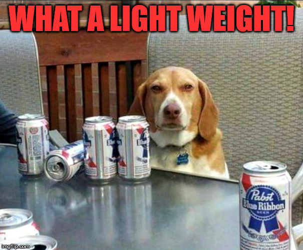 beer dog | WHAT A LIGHT WEIGHT! | image tagged in beer dog | made w/ Imgflip meme maker