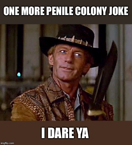 Penal/penile meh. | ONE MORE PENILE COLONY JOKE I DARE YA | image tagged in crocodile dundee knife,australia,memes,funny | made w/ Imgflip meme maker