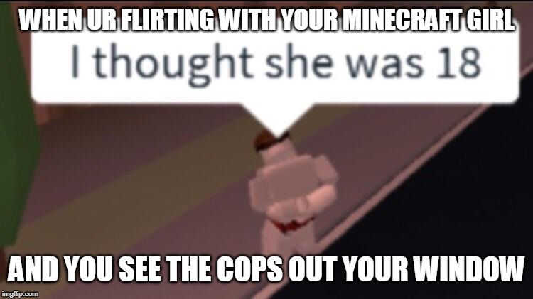 WHEN UR FLIRTING WITH YOUR MINECRAFT GIRL; AND YOU SEE THE COPS OUT YOUR WINDOW | image tagged in roblox,pedo,funny,i though she was 18,meme,cops | made w/ Imgflip meme maker