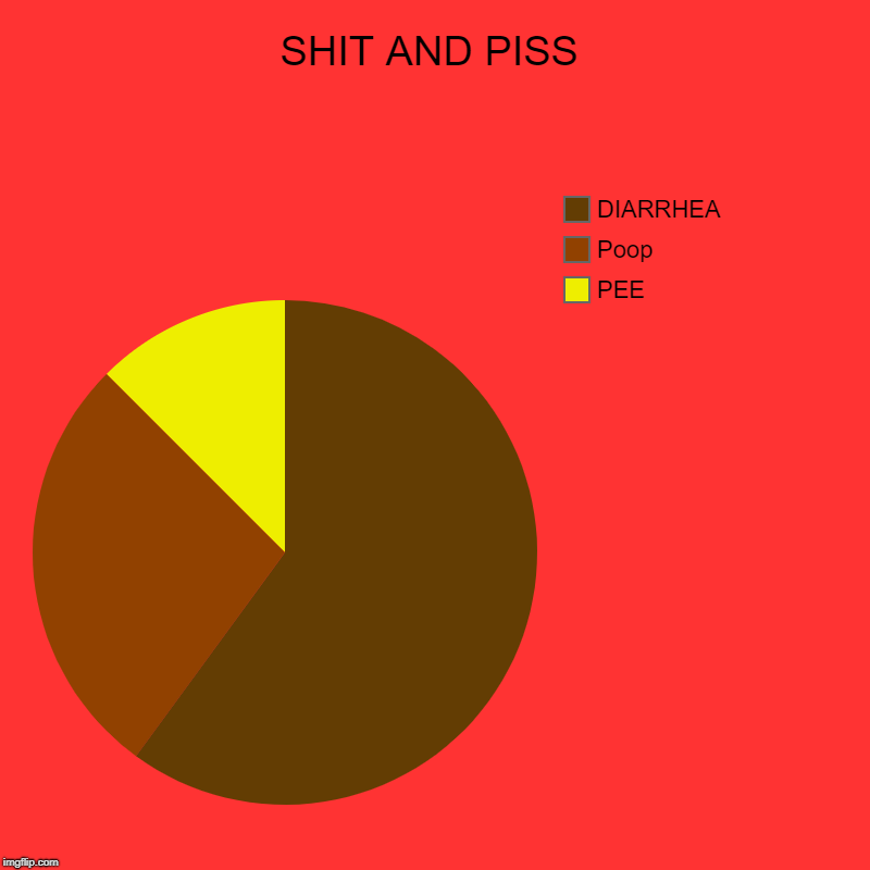 SHIT AND PISS | PEE, Poop, DIARRHEA | image tagged in charts,pie charts | made w/ Imgflip chart maker