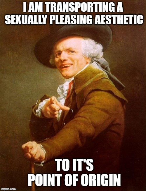 Joseph Ducreux | I AM TRANSPORTING A SEXUALLY PLEASING AESTHETIC; TO IT'S POINT OF ORIGIN | image tagged in memes,joseph ducreux | made w/ Imgflip meme maker