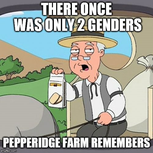 Pepperidge Farm Remembers | THERE ONCE WAS ONLY 2 GENDERS; PEPPERIDGE FARM REMEMBERS | image tagged in memes,pepperidge farm remembers | made w/ Imgflip meme maker