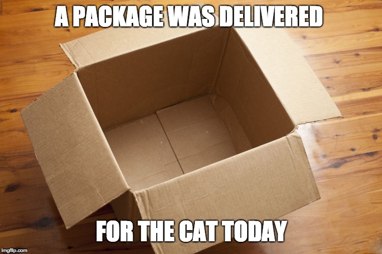 Empty Box | A PACKAGE WAS DELIVERED; FOR THE CAT TODAY | image tagged in empty box | made w/ Imgflip meme maker