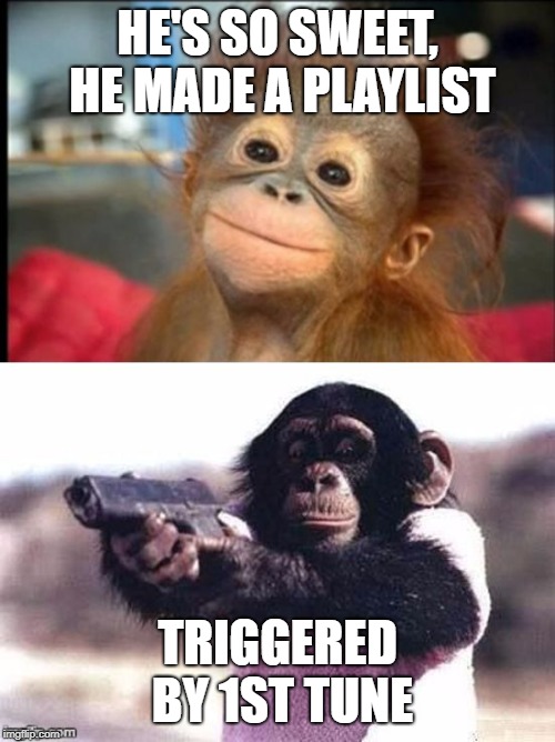 monkey moods | HE'S SO SWEET, HE MADE A PLAYLIST; TRIGGERED BY 1ST TUNE | image tagged in monkey moods | made w/ Imgflip meme maker