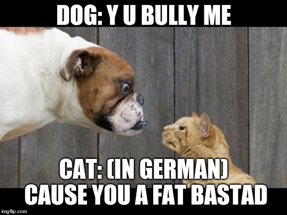 Dog VS. Cat | DOG: Y U BULLY ME; CAT: (IN GERMAN) CAUSE YOU A FAT BASTAD | image tagged in funny memes,lol,cats,dogs,cats vs dogs | made w/ Imgflip meme maker