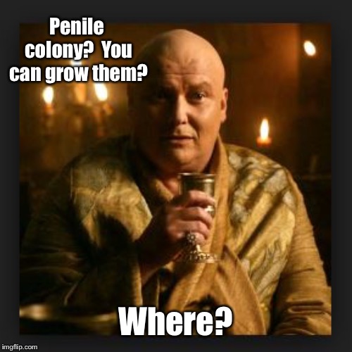 lord varys | Penile colony?  You can grow them? Where? | image tagged in lord varys | made w/ Imgflip meme maker