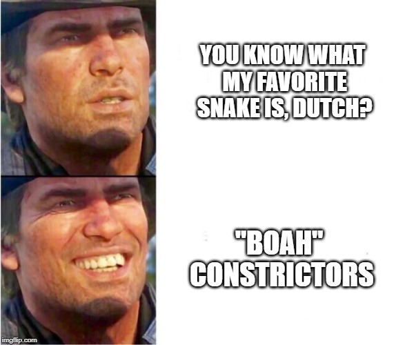 Arthur morgan | YOU KNOW WHAT MY FAVORITE SNAKE IS, DUTCH? "BOAH" CONSTRICTORS | image tagged in arthur morgan | made w/ Imgflip meme maker