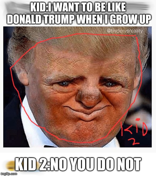 dreams to be trump | KID:I WANT TO BE LIKE DONALD TRUMP WHEN I GROW UP; KID 2:NO YOU DO NOT | image tagged in memes | made w/ Imgflip meme maker
