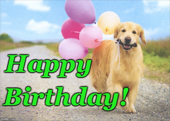 Dog With Balloons | Birthday! Happy | image tagged in dog with balloons | made w/ Imgflip meme maker