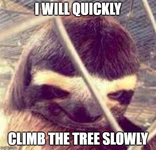 I will slowly | I WILL QUICKLY; CLIMB THE TREE SLOWLY | image tagged in i will slowly | made w/ Imgflip meme maker