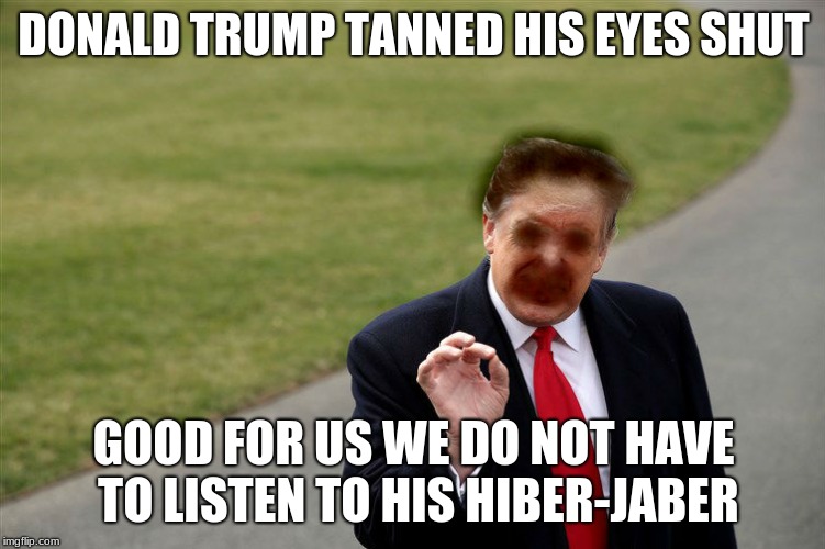 burnt his eyes | DONALD TRUMP TANNED HIS EYES SHUT; GOOD FOR US WE DO NOT HAVE TO LISTEN TO HIS HIBER-JABER | image tagged in memes | made w/ Imgflip meme maker