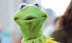 High Quality Kermit Stare Blank Meme Template