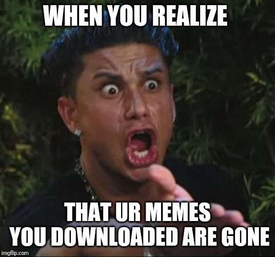 DJ Pauly D Meme | WHEN YOU REALIZE; THAT UR MEMES YOU DOWNLOADED ARE GONE | image tagged in memes,dj pauly d | made w/ Imgflip meme maker