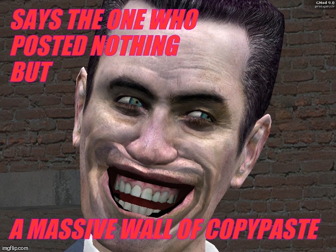 . | SAYS THE ONE WHO POSTED NOTHING                       BUT A MASSIVE WALL OF COPYPASTE | image tagged in g-man from half-life | made w/ Imgflip meme maker