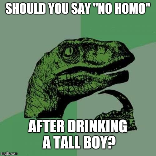 Philosoraptor | SHOULD YOU SAY "NO HOMO"; AFTER DRINKING A TALL BOY? | image tagged in memes,philosoraptor,beer,bro | made w/ Imgflip meme maker