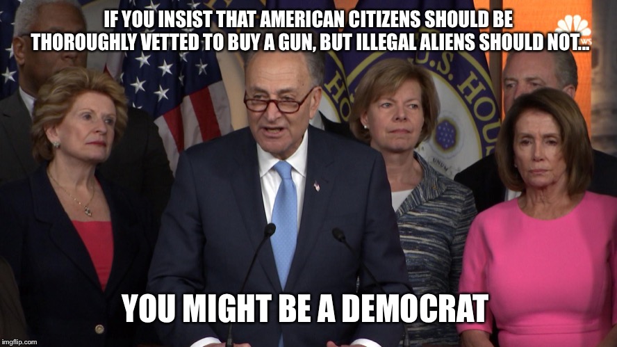 Democrat congressmen | IF YOU INSIST THAT AMERICAN CITIZENS SHOULD BE THOROUGHLY VETTED TO BUY A GUN, BUT ILLEGAL ALIENS SHOULD NOT... YOU MIGHT BE A DEMOCRAT | image tagged in democrat congressmen,nancy pelosi,nancy pelosi wtf,chuck schumer,illegal aliens,democrats | made w/ Imgflip meme maker
