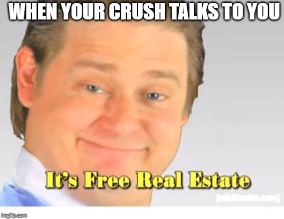 It's Free Real Estate | WHEN YOUR CRUSH TALKS TO YOU | image tagged in it's free real estate | made w/ Imgflip meme maker
