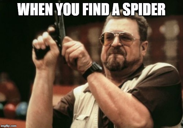 Am I The Only One Around Here Meme | WHEN YOU FIND A SPIDER | image tagged in memes,am i the only one around here | made w/ Imgflip meme maker