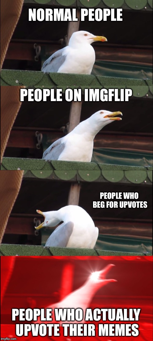 Inhaling Seagull Meme | NORMAL PEOPLE; PEOPLE ON IMGFLIP; PEOPLE WHO BEG FOR UPVOTES; PEOPLE WHO ACTUALLY UPVOTE THEIR MEMES | image tagged in memes,inhaling seagull | made w/ Imgflip meme maker
