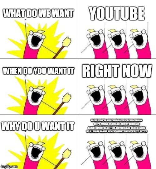 What Do We Want 3 Meme | WHAT DO WE WANT; YOUTUBE; WHEN DO YOU WANT IT; RIGHT NOW; WHY DO U WANT IT; BECAUSE WE'RE DEPRESSED BECAUSE REBARCADMAN KEEPS CALLING US MORONS AND WE THINK OUR PARENTS MIGHT BE GETTING A DIVORCE AND WE'RE STAYING UP ALL NIGHT MAKING MEMES TO MAKE OURSELVES FEEL BETTER | image tagged in memes,what do we want 3 | made w/ Imgflip meme maker