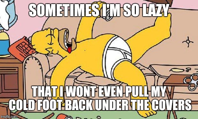 Homer-lazy | SOMETIMES I'M SO LAZY; THAT I WONT EVEN PULL MY COLD FOOT BACK UNDER THE COVERS | image tagged in homer-lazy | made w/ Imgflip meme maker