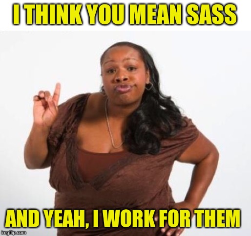 Sassy Black Lady | I THINK YOU MEAN SASS AND YEAH, I WORK FOR THEM | image tagged in sassy black lady | made w/ Imgflip meme maker
