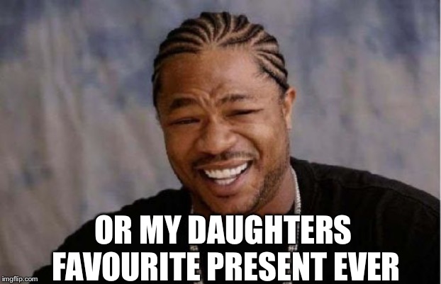 Yo Dawg Heard You Meme | OR MY DAUGHTERS FAVOURITE PRESENT EVER | image tagged in memes,yo dawg heard you | made w/ Imgflip meme maker