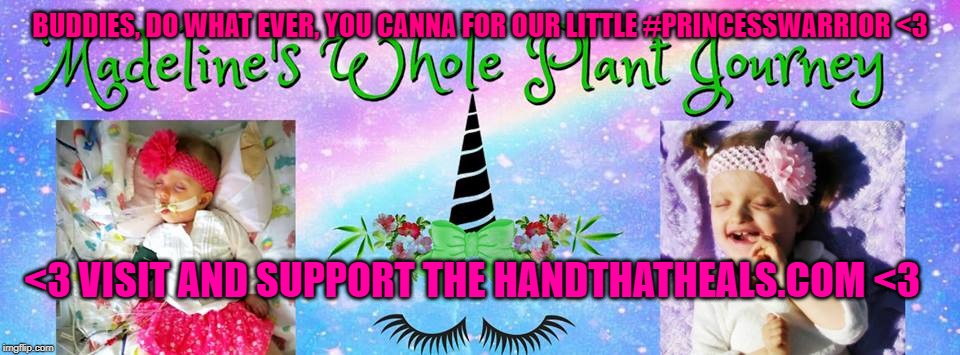 BUDDIES, DO WHAT EVER, YOU CANNA FOR OUR LITTLE #PRINCESSWARRIOR <3; <3 VISIT AND SUPPORT THE HANDTHATHEALS.COM <3 | image tagged in madeline's whole plant journey | made w/ Imgflip meme maker