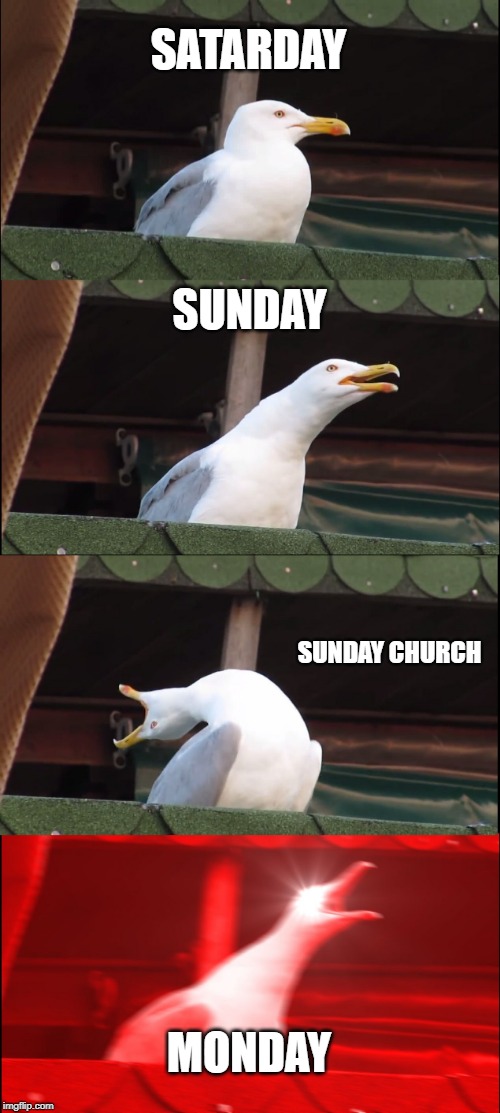 Inhaling Seagull Meme | SATARDAY; SUNDAY; SUNDAY CHURCH; MONDAY | image tagged in memes,inhaling seagull | made w/ Imgflip meme maker