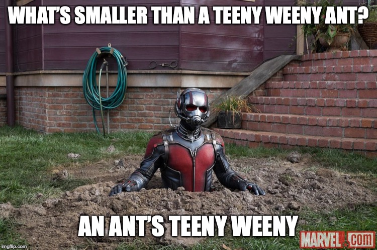 Antman steel | WHAT’S SMALLER THAN A TEENY WEENY ANT? AN ANT’S TEENY WEENY | image tagged in antman steel | made w/ Imgflip meme maker
