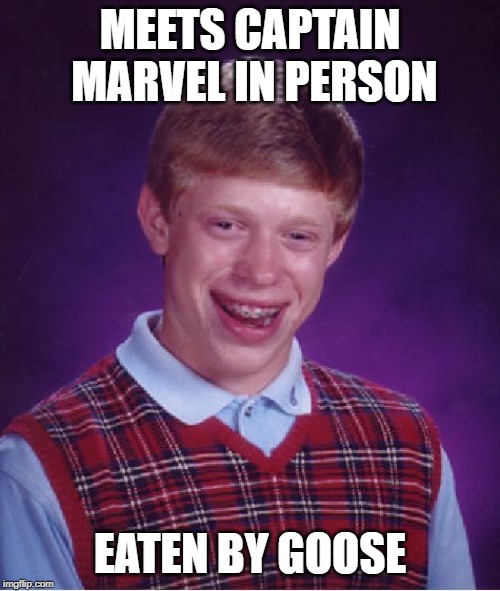 Captain Marvel fan | MEETS CAPTAIN MARVEL IN PERSON; EATEN BY GOOSE | image tagged in memes,bad luck brian | made w/ Imgflip meme maker