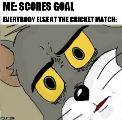 Unsettled Tom | ME: SCORES GOAL; EVERYBODY ELSE AT THE CRICKET MATCH: | image tagged in unsettled tom | made w/ Imgflip meme maker