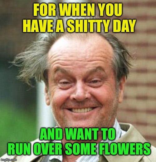 Jack Nicholson Crazy Hair | FOR WHEN YOU HAVE A SHITTY DAY AND WANT TO RUN OVER SOME FLOWERS | image tagged in jack nicholson crazy hair | made w/ Imgflip meme maker