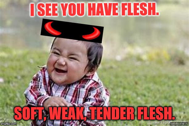 Flesh-Eating Baby |  I SEE YOU HAVE FLESH. SOFT, WEAK, TENDER FLESH. | image tagged in grumpy cat | made w/ Imgflip meme maker