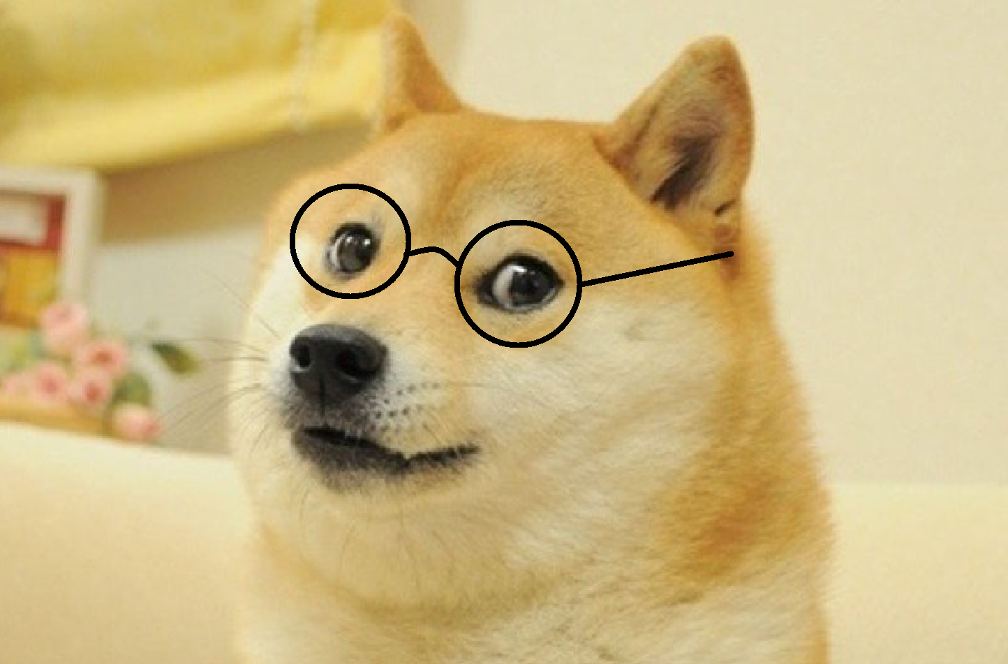 High Quality doge glasses Blank Meme Template